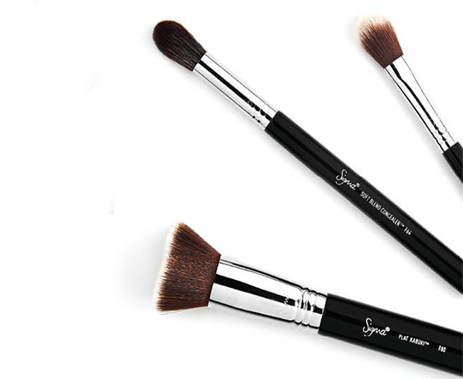 Sigma Best of Beauty Brush Set, All You Need for Perfect Face