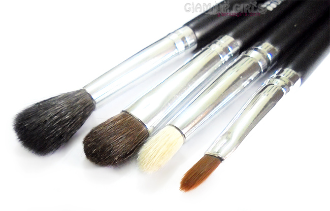 BH Cosmetics Eye Essential To Go, Liner Brush, Pencil Brush, Classic Shader Brush, Tapered Blending brush