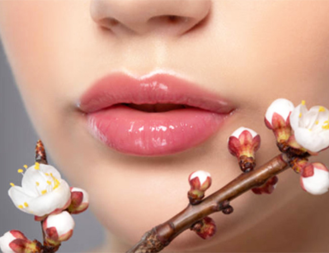 6 Best Organic Products to Keep your Lips Soft, Hydrated and Plump