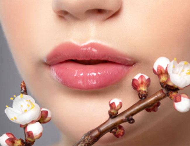 6 Best Organic Products to Keep your Lips Soft, Hydrated and Plump 