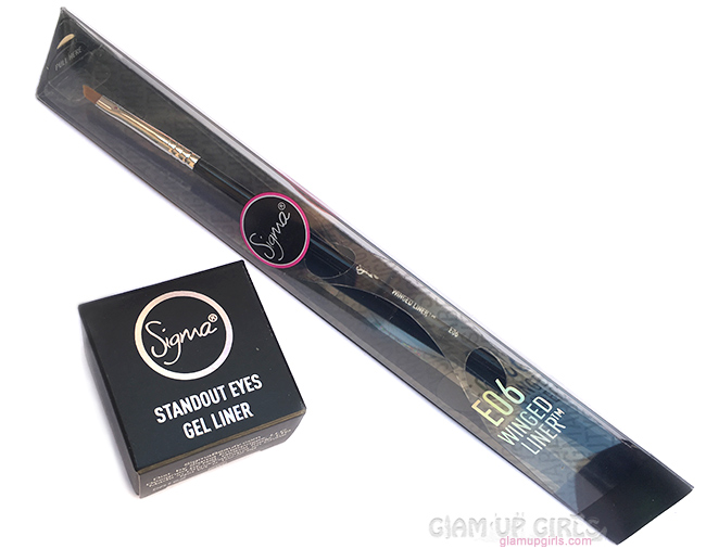 Sigma Beauty Standout Eyes Gel Liner in Wicked and E06 Winged Liner Brush