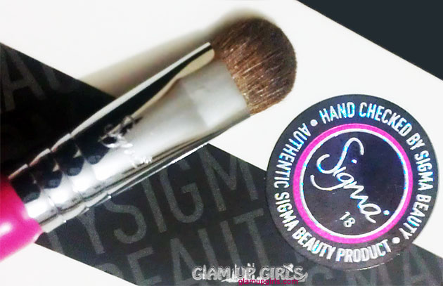 Sigma Beauty E55 Eye Shading Brush - Review