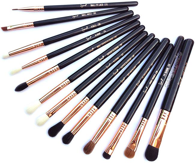 Sigma Ultimate Copper Eye Makeup Brush Set - Review