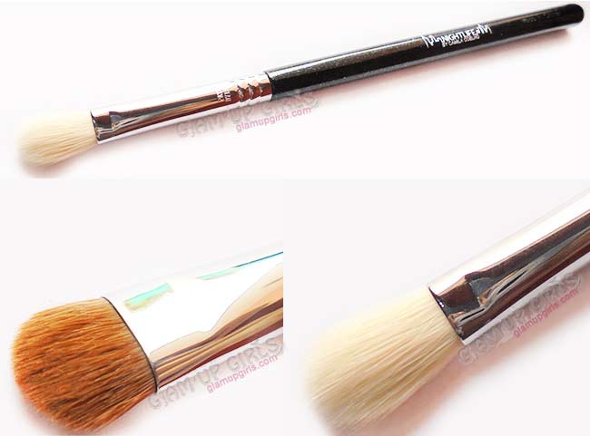 Sigma Beauty E25 Blending and E55 Shading brush